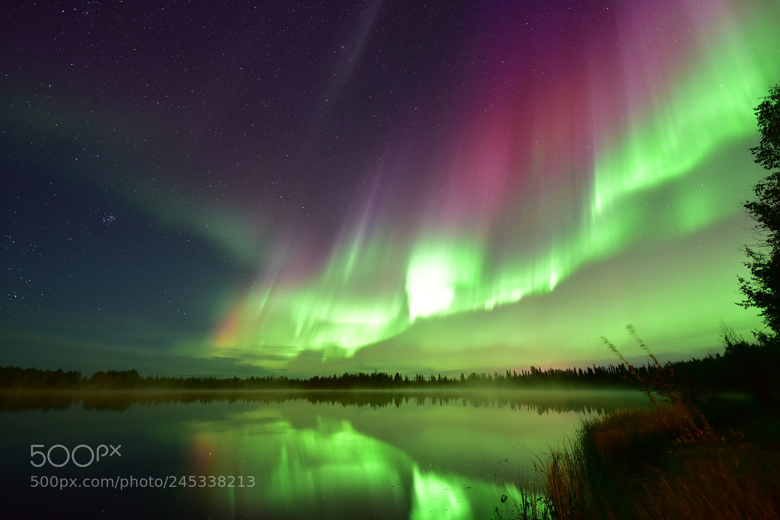 Nikon D810 sample photo. Dancing northern light & reflection photography