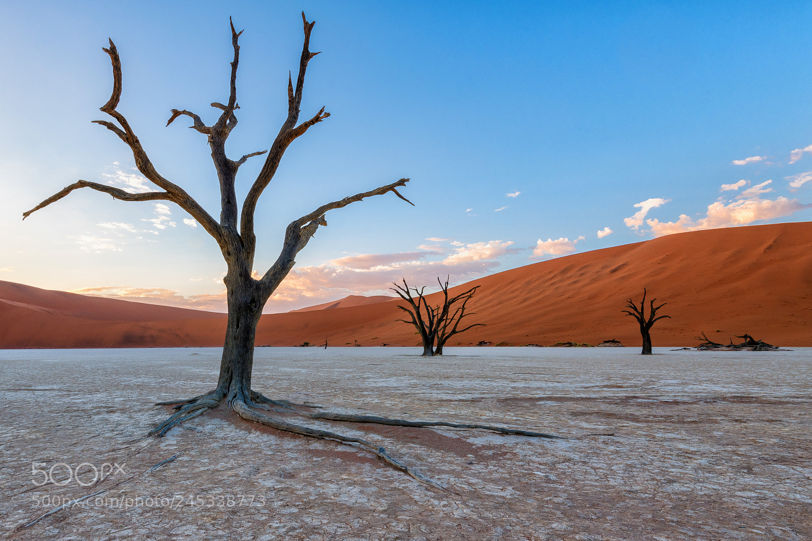 Nikon D850 sample photo. Deadvlei, namibia photography