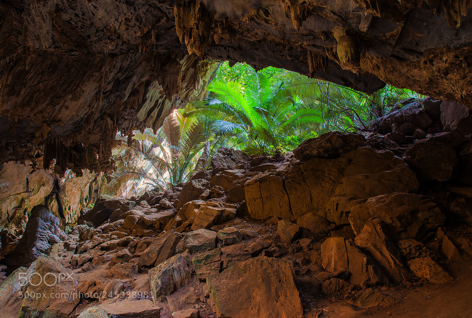 Nikon D7100 sample photo. Hub pa tad photography