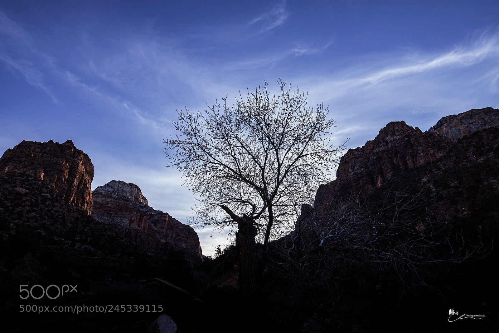 Canon EOS 6D Mark II sample photo. Zion national park photography