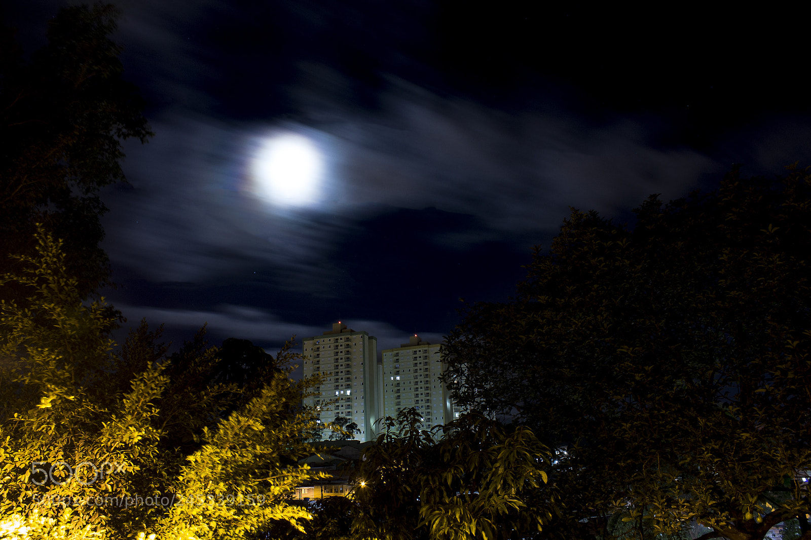 Canon EOS 1100D (EOS Rebel T3 / EOS Kiss X50) sample photo. The moonlight and the photography