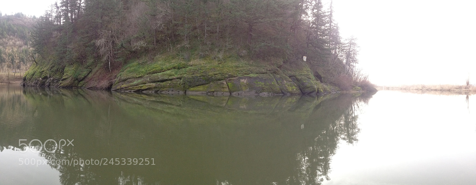 Apple iPhone 4S sample photo. Rooster rock state park photography