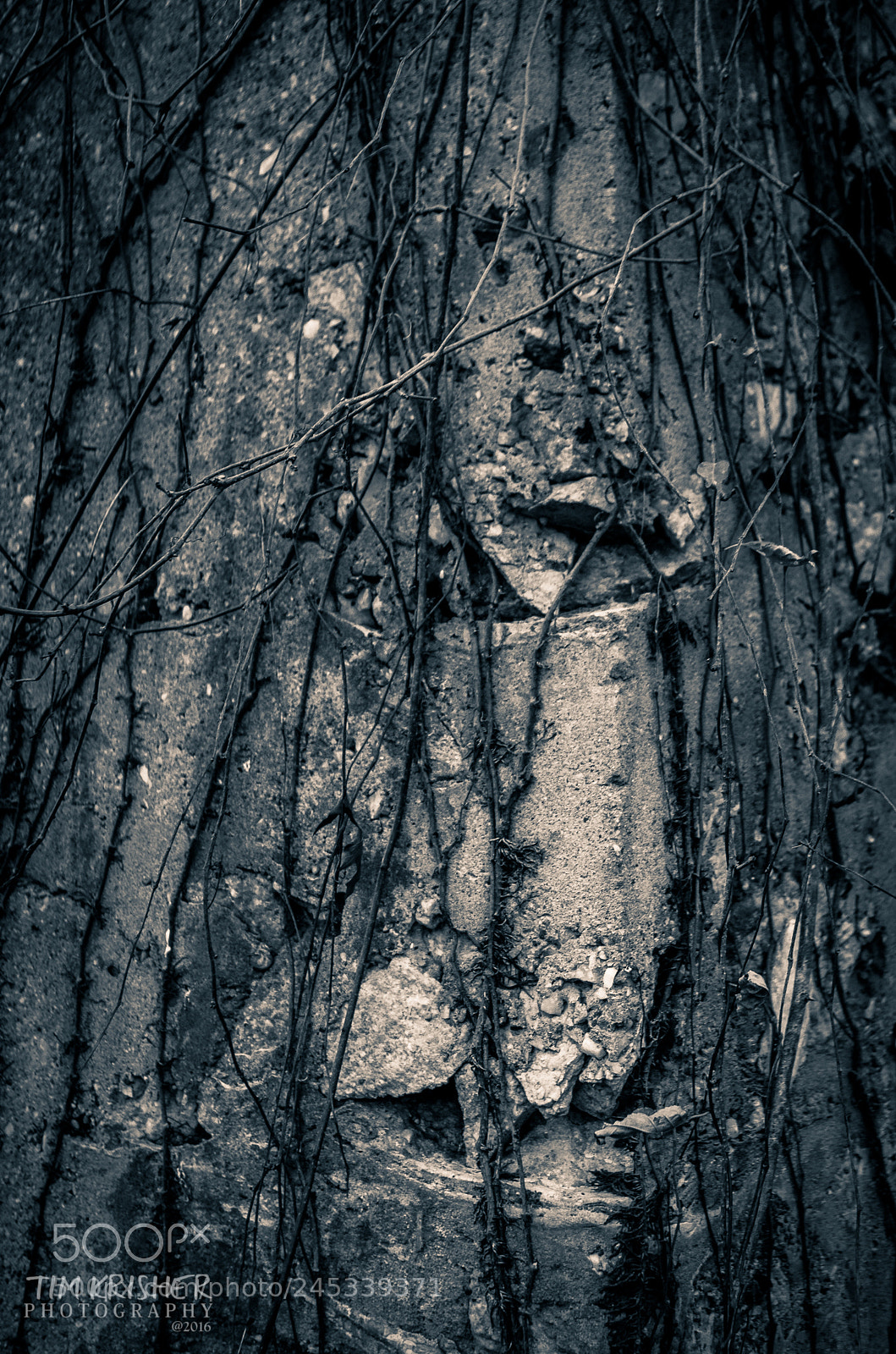 Pentax K-50 sample photo. Return to the earth photography