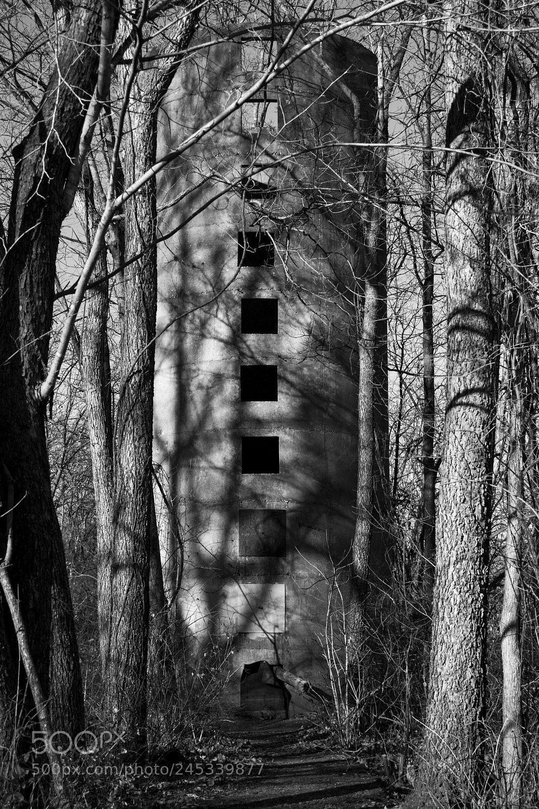 Canon EOS 77D (EOS 9000D / EOS 770D) sample photo. Abandoned farming silo photography