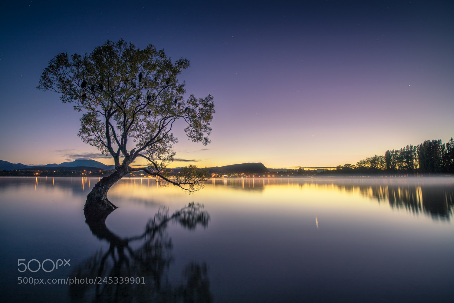 Canon EOS 5DS R sample photo. Morning light photography