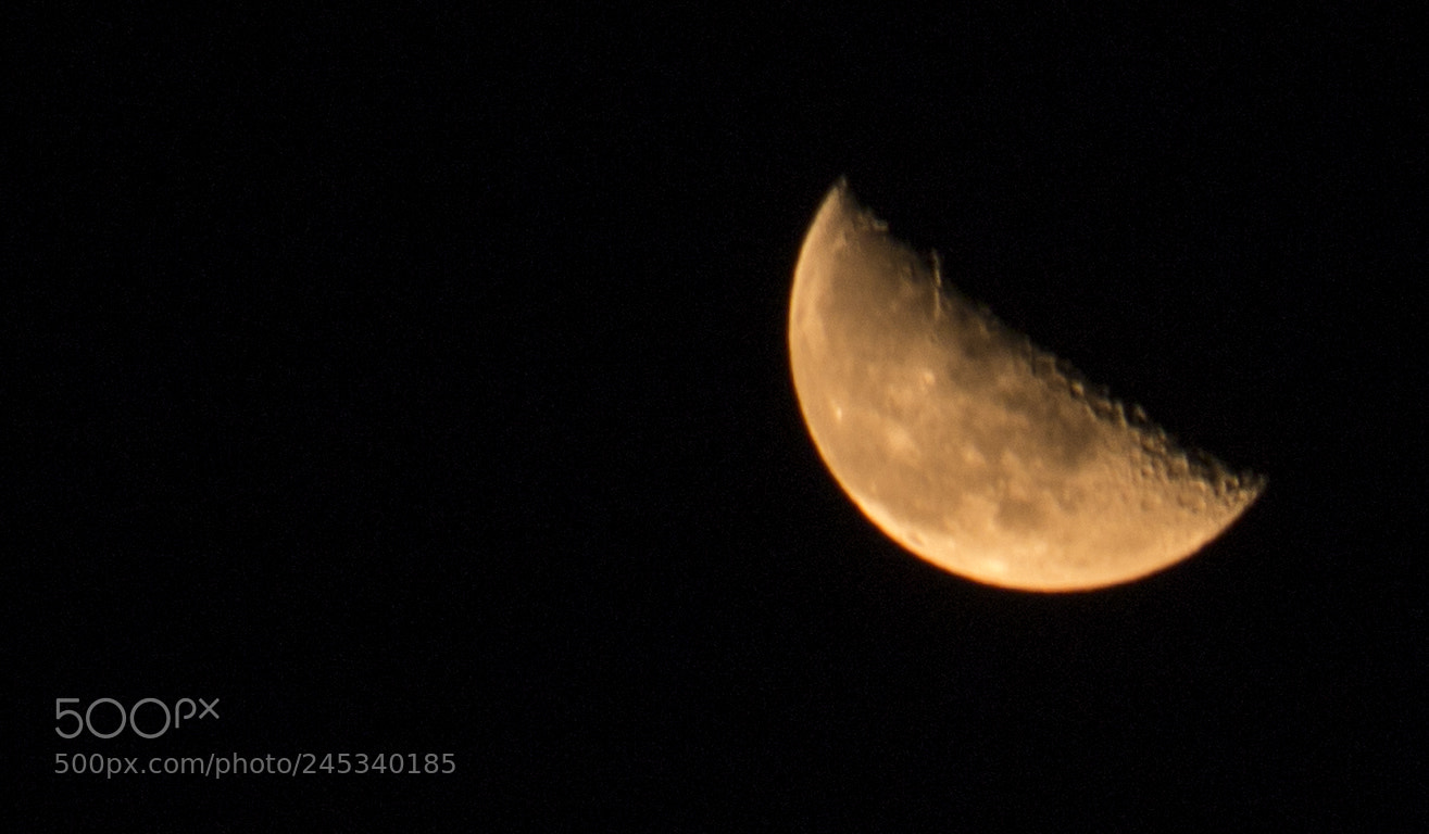 Canon EOS 1200D (EOS Rebel T5 / EOS Kiss X70 / EOS Hi) sample photo. She was always she.. photography