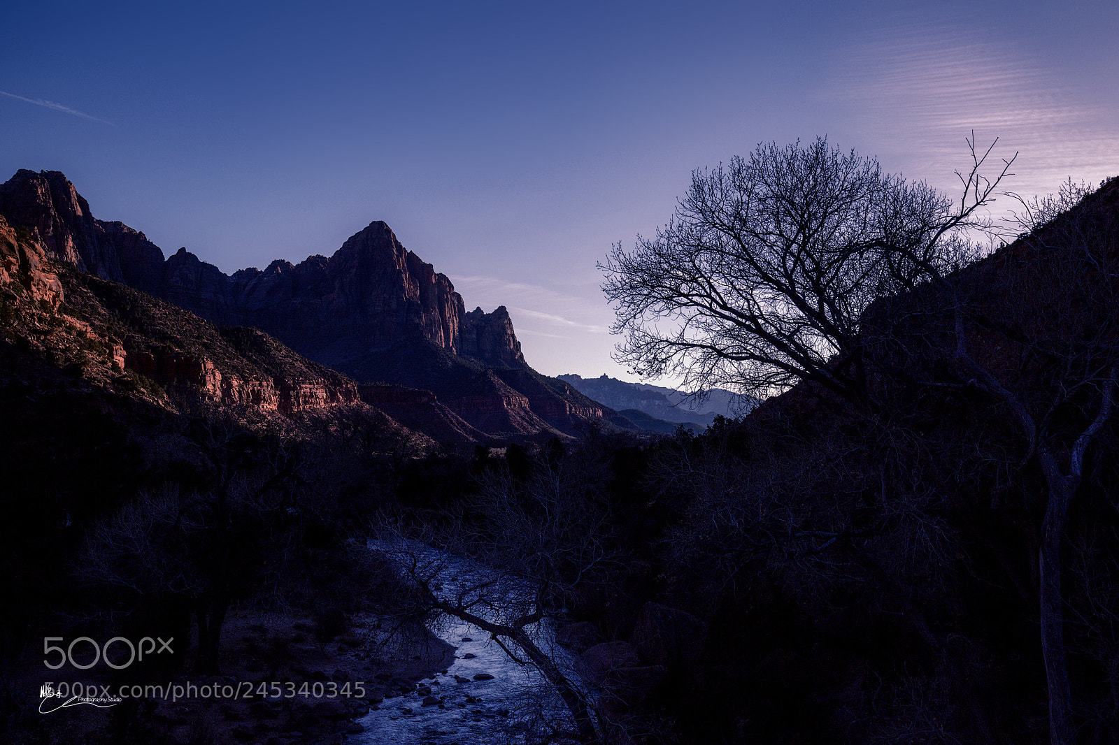 Canon EOS 6D Mark II sample photo. Zion national park photography