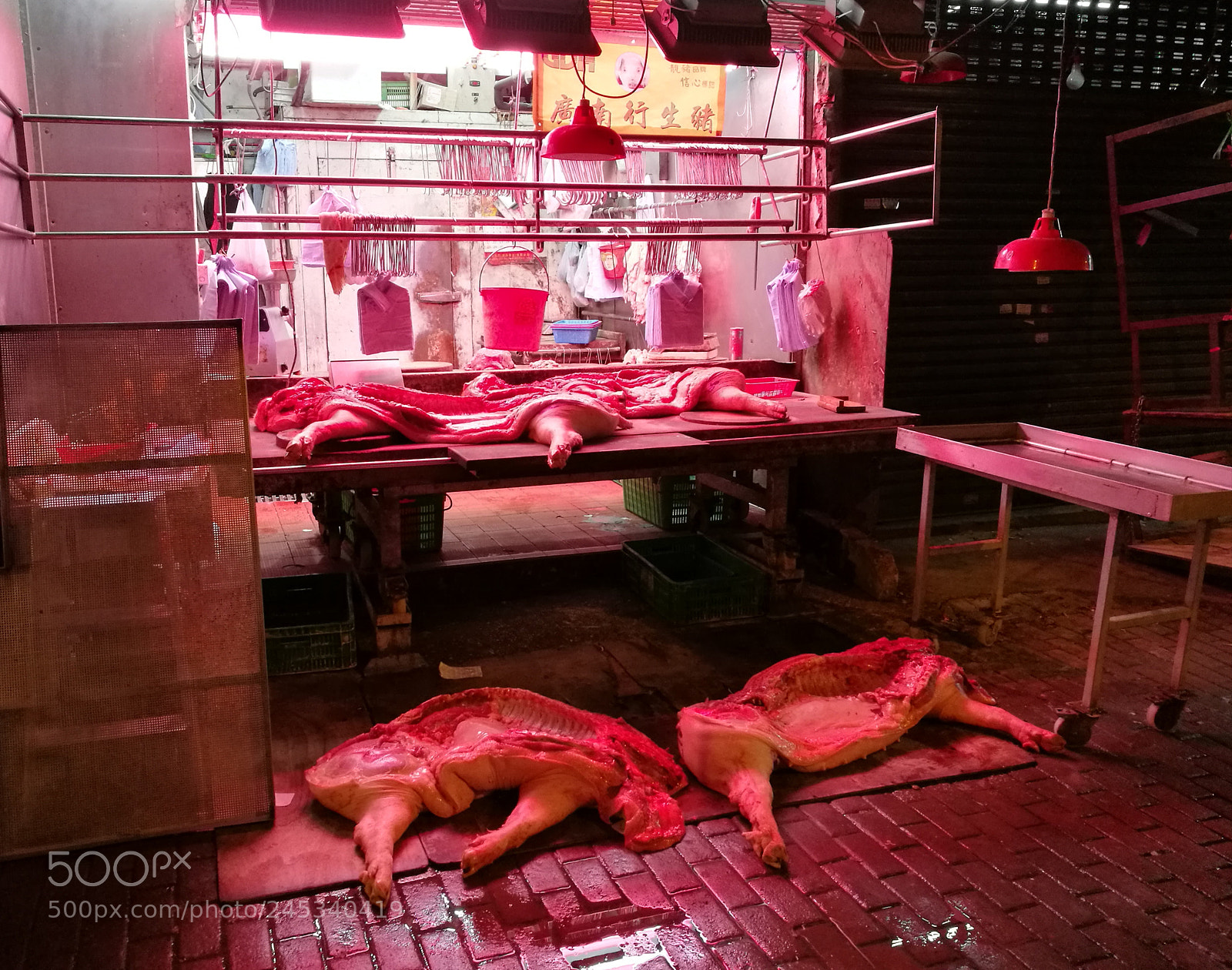 HUAWEI P9 Plus sample photo. It will be ready photography