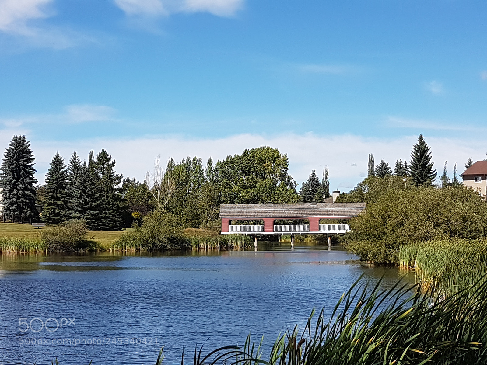 Samsung Galaxy S7 Edge sample photo. Rustic bridge 2 photography
