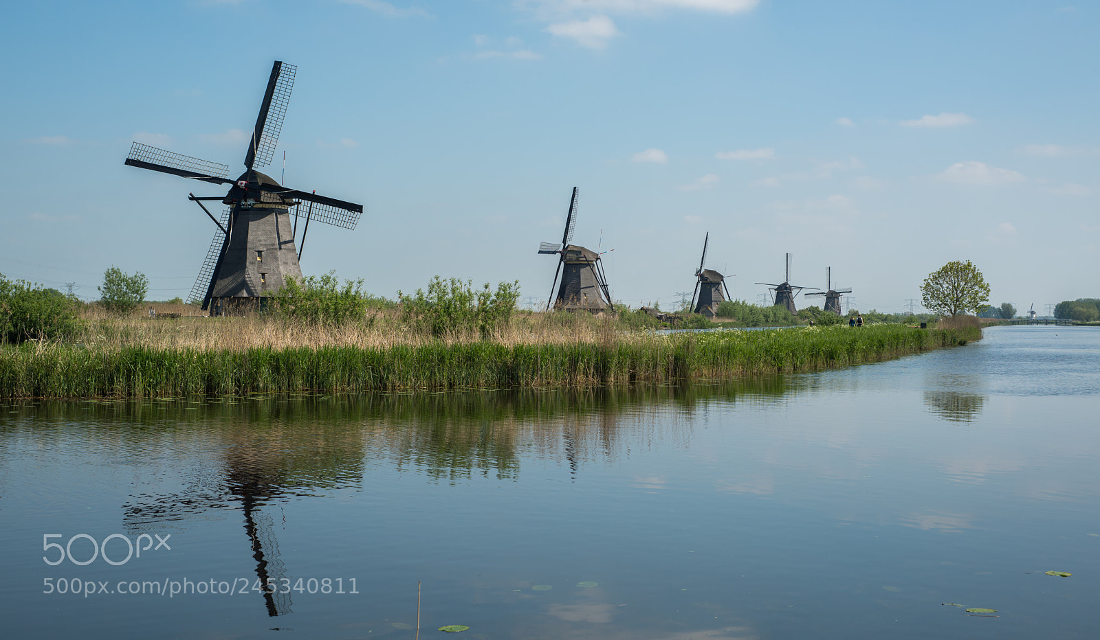 Nikon D810 sample photo. Kinderdijk photography