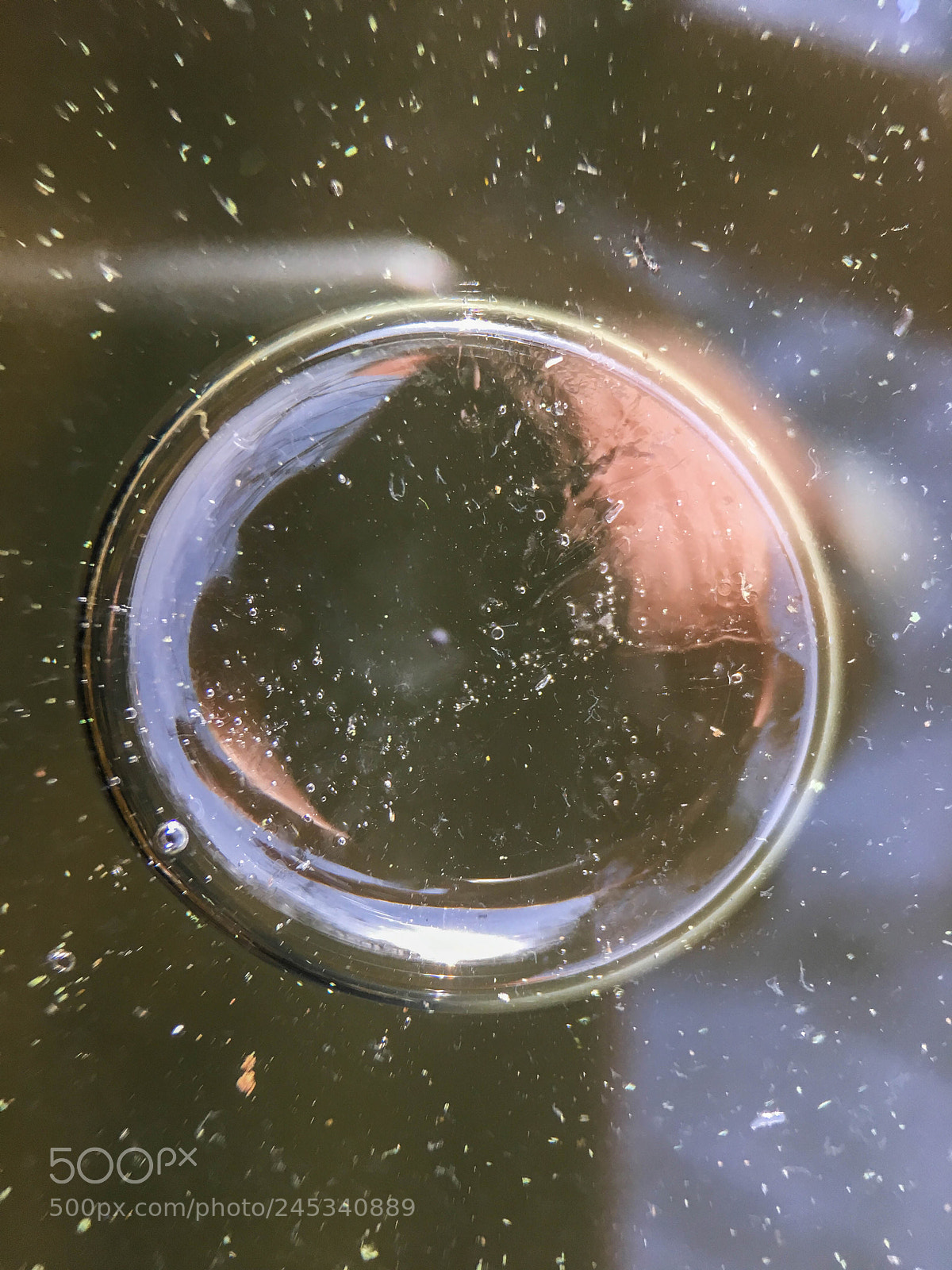 Apple iPhone 6s sample photo. Air bubble photography