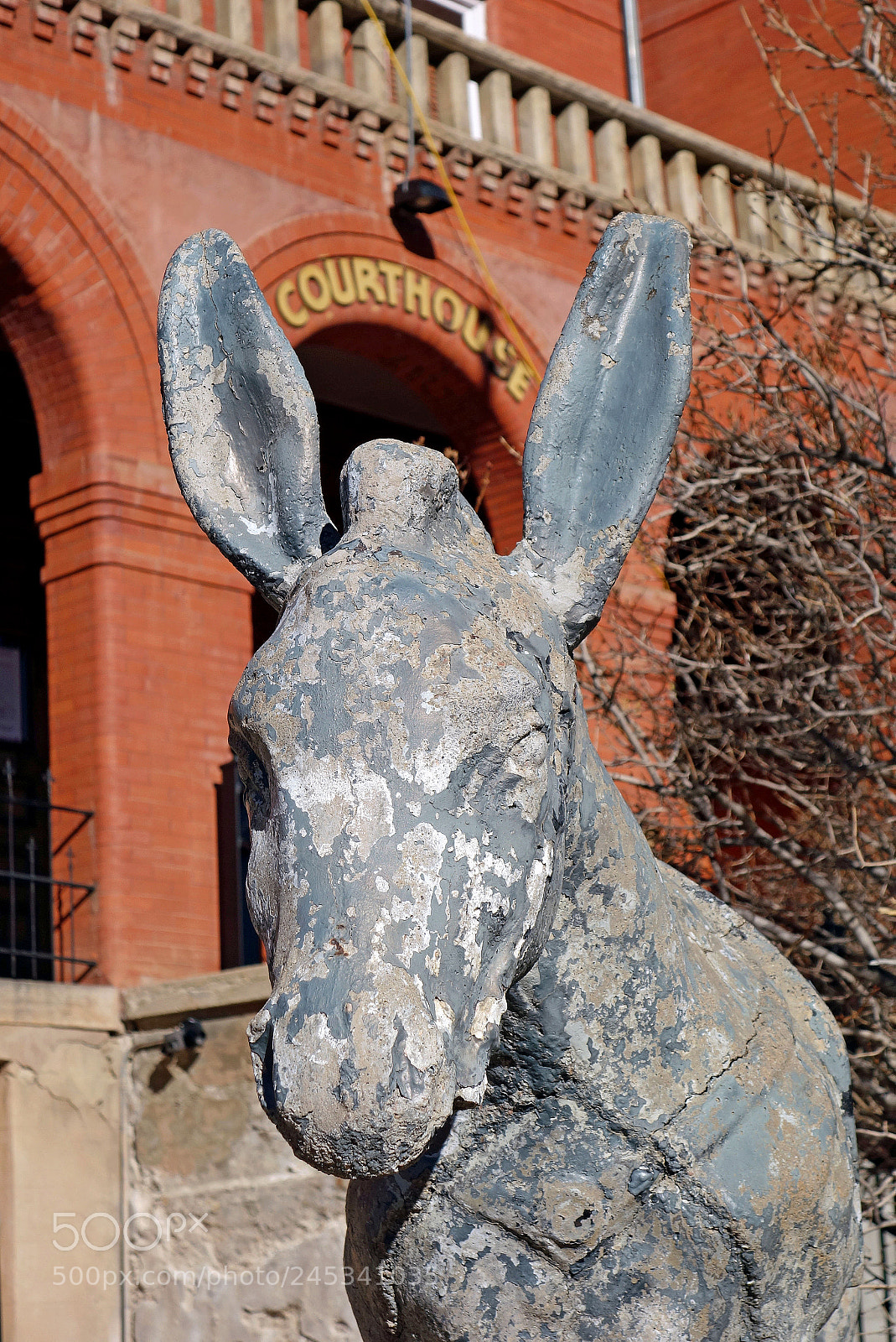 Sony Cyber-shot DSC-RX100 sample photo. Central city courthouse donkey photography