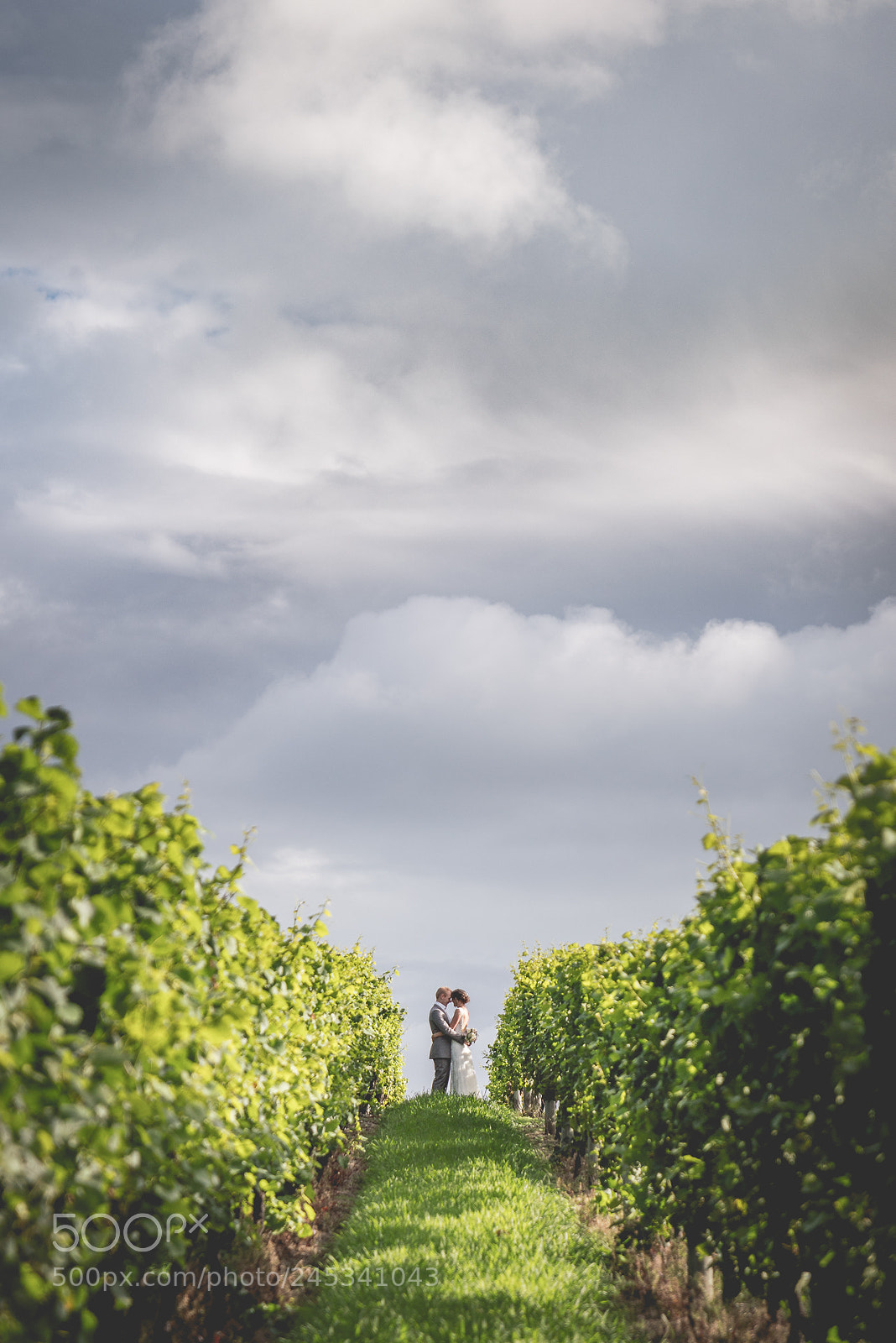 Sony a7R III sample photo. Casey & bruce photography