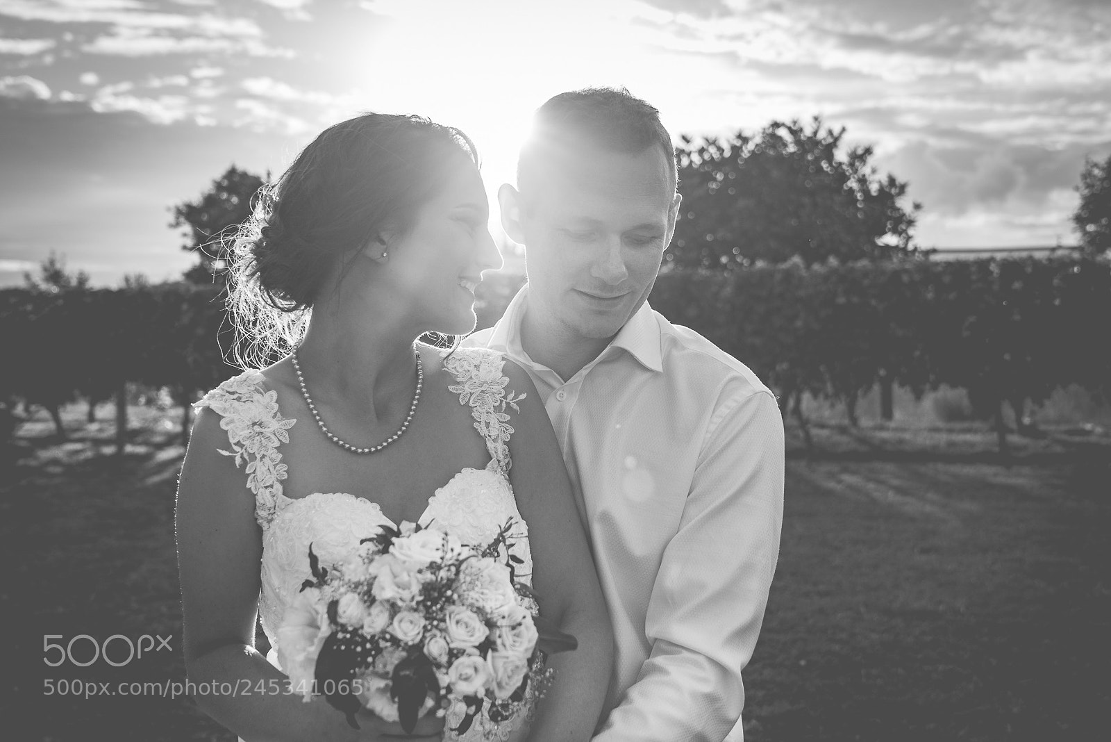 Sony a7R III sample photo. Casey & bruce photography