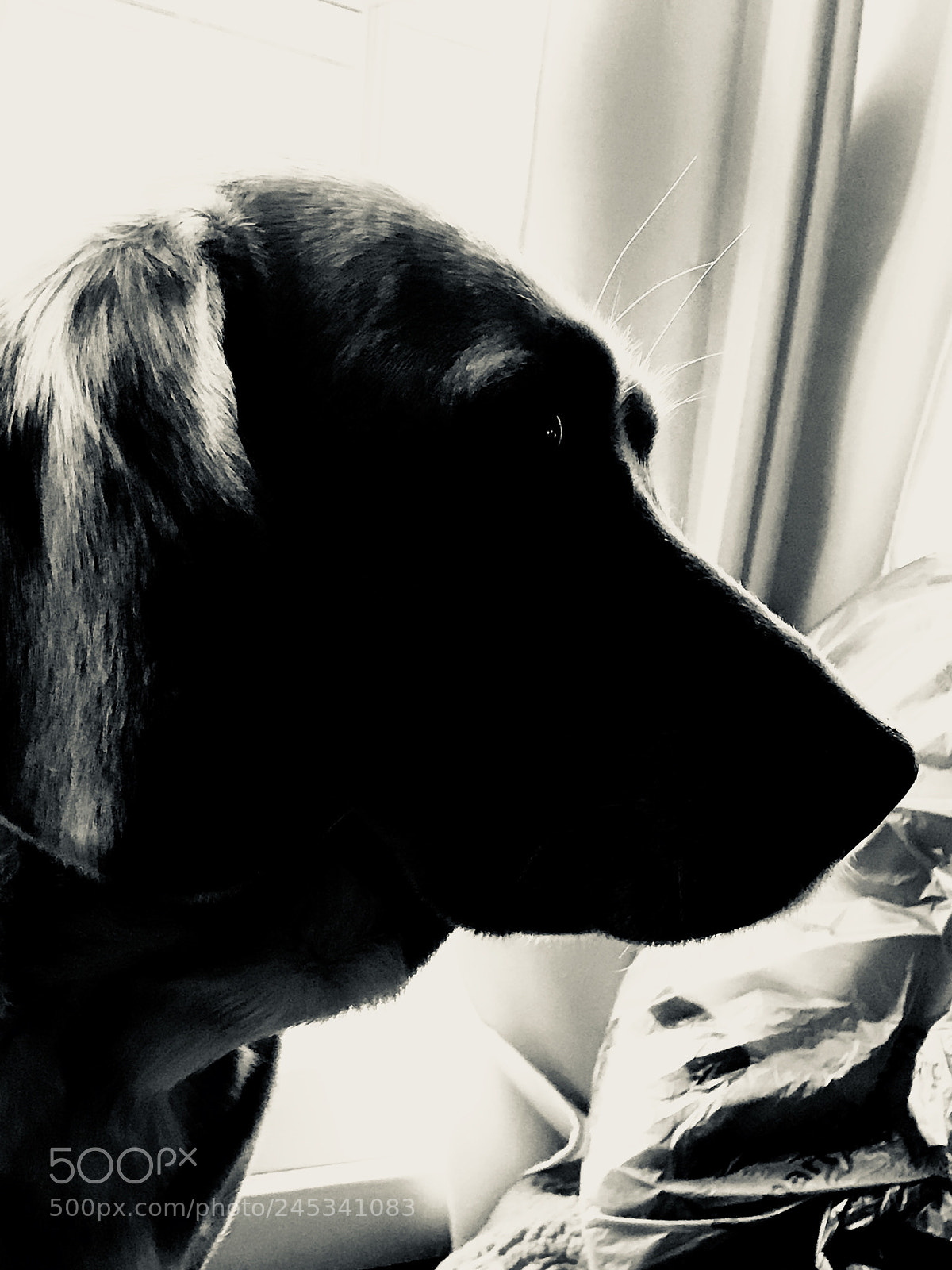 Apple iPhone 7 Plus sample photo. In our darkest hour photography