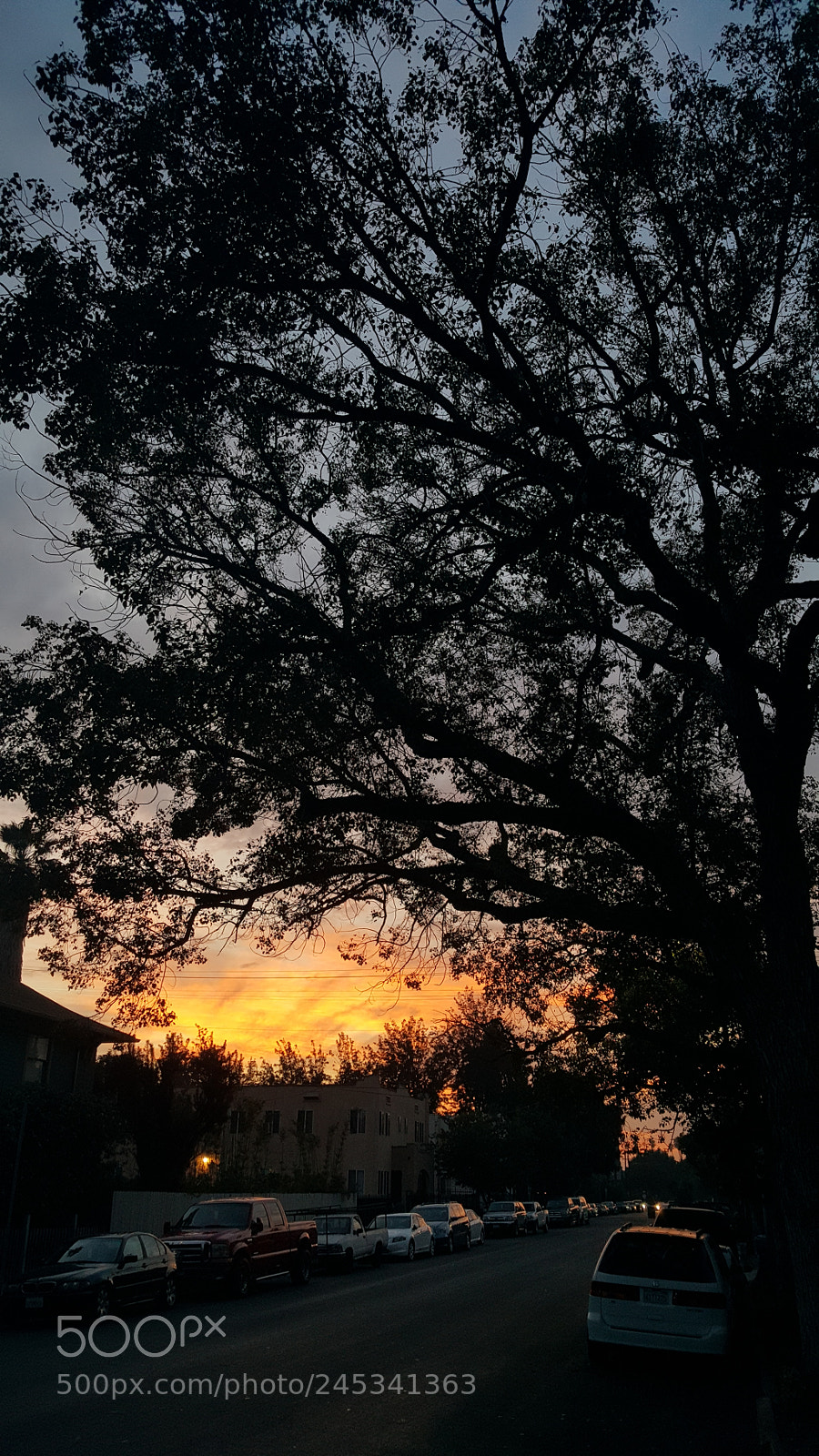 Samsung Galaxy Note5 sample photo. Untitled photography