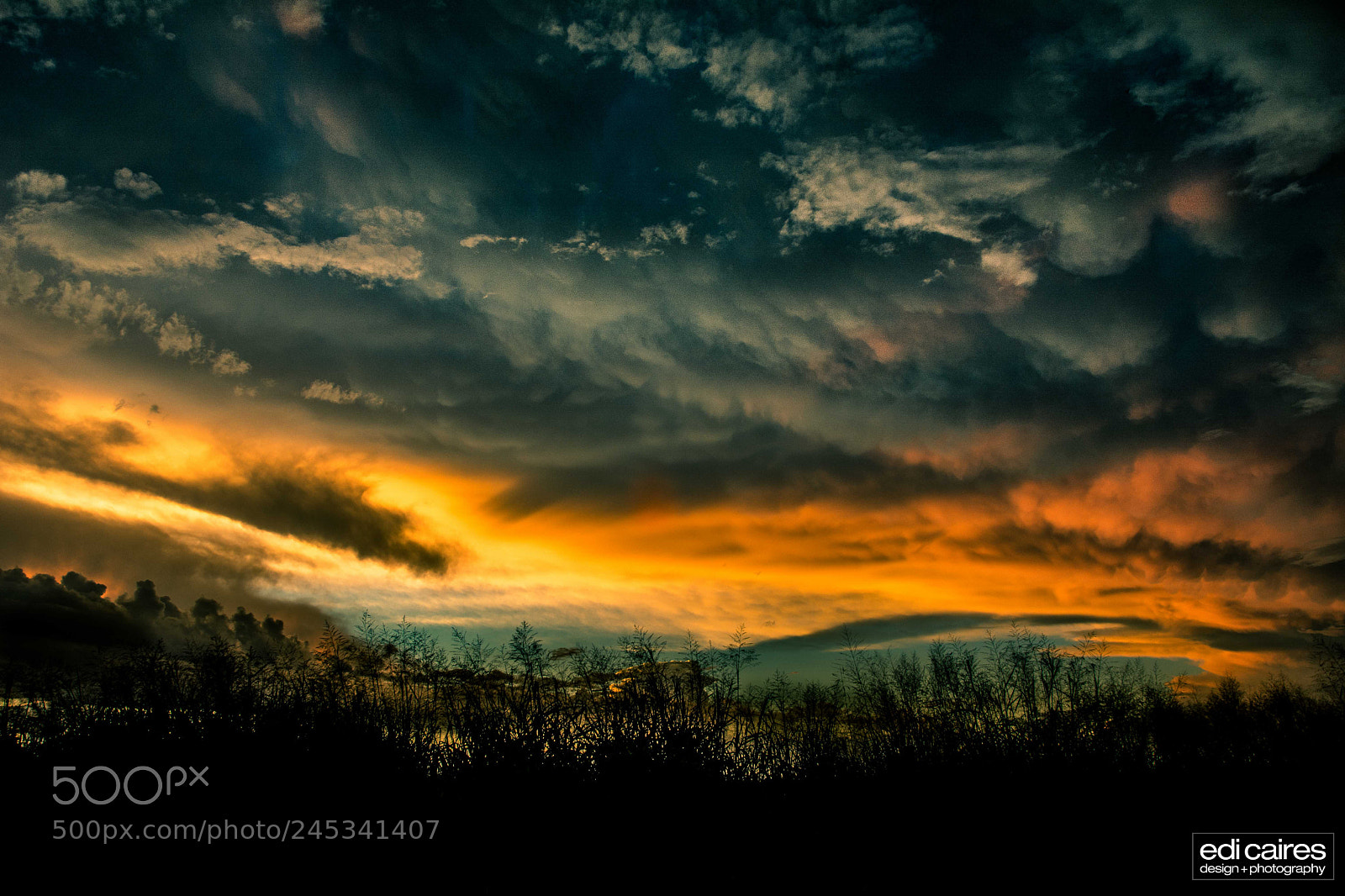 Nikon D7100 sample photo. Final de tarde photography