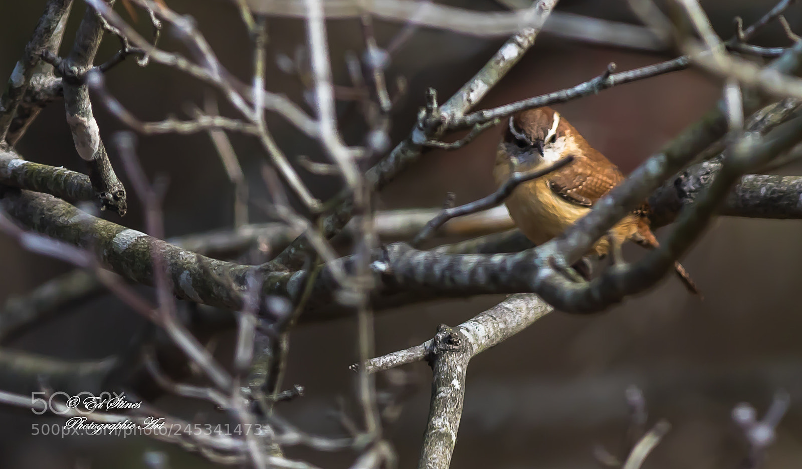 Canon EOS 7D Mark II sample photo. Untitled photography