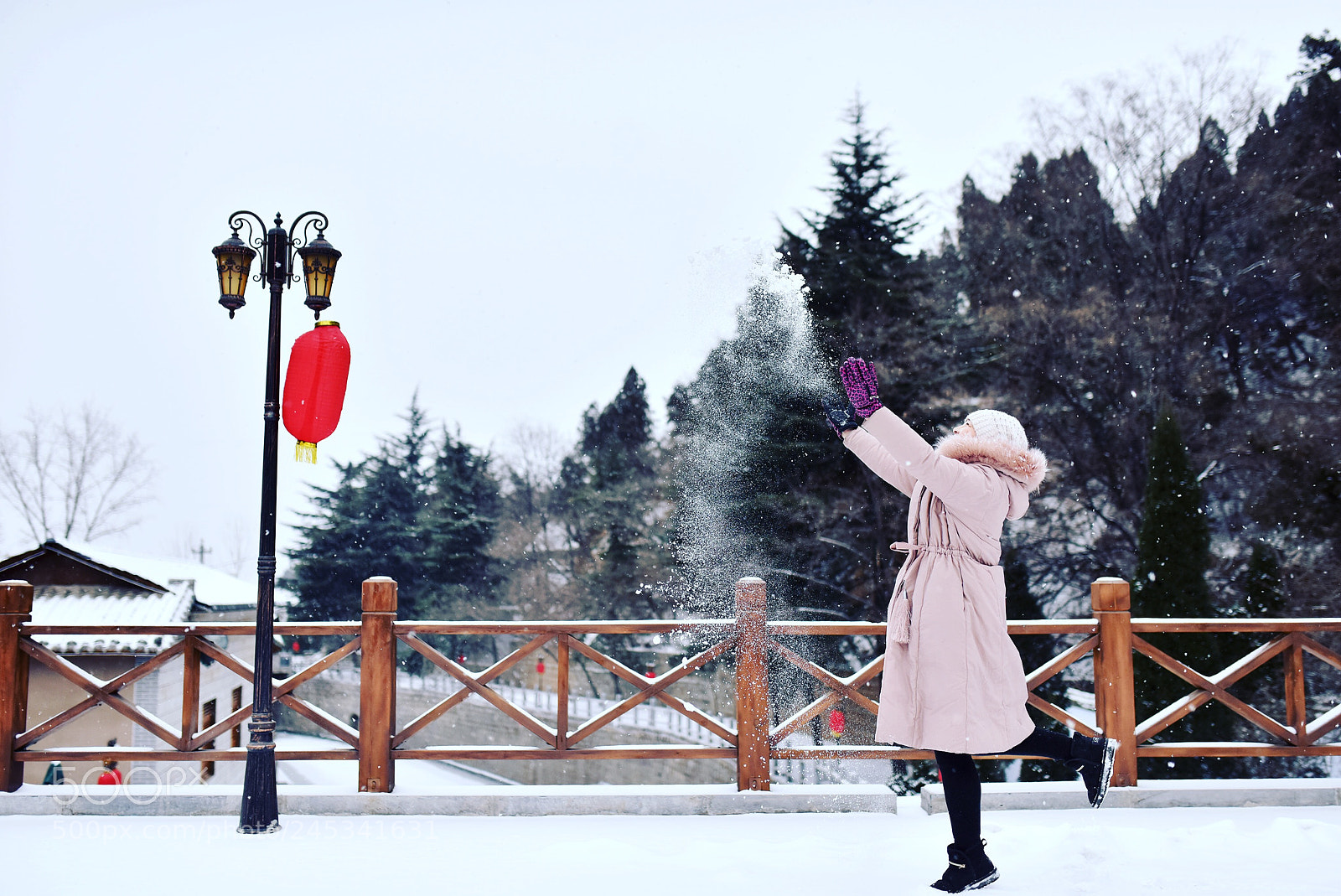 Nikon D810 sample photo. Snow in central china photography