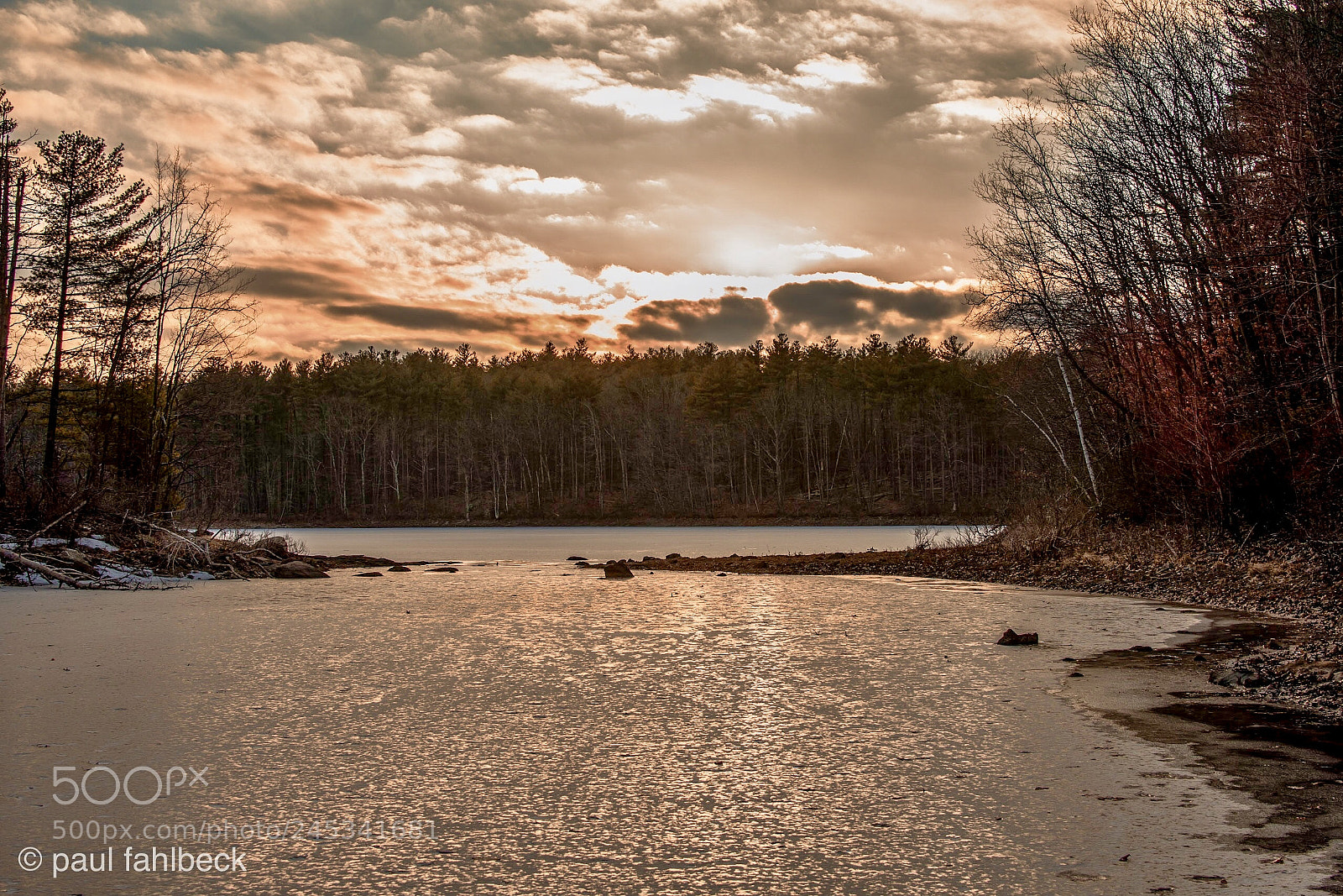 Nikon D7200 sample photo. Red leaves photography