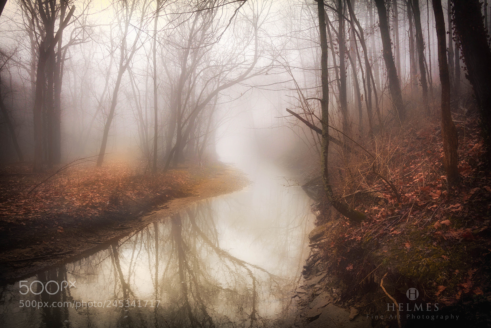 Canon EOS 60D sample photo. Foggy river photography
