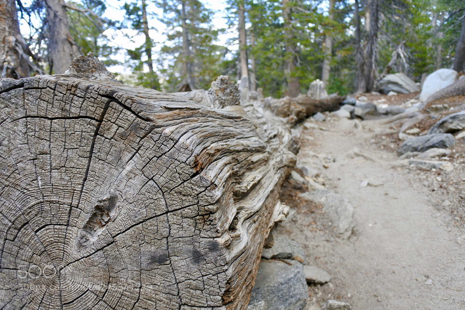 Nikon 1 J5 sample photo. San jacinto 4 photography