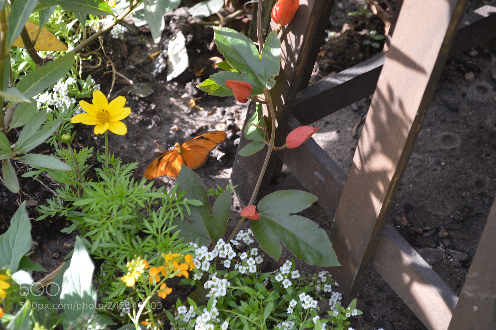 Nikon D3200 sample photo. Untitled photography