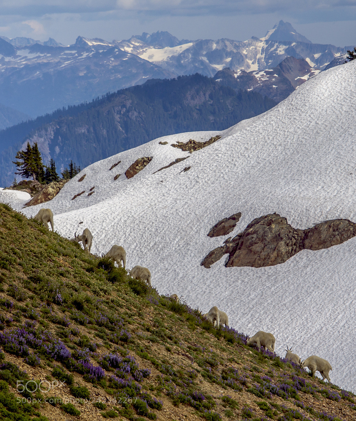 Canon EOS 1100D (EOS Rebel T3 / EOS Kiss X50) sample photo. Angles of mt. baker photography