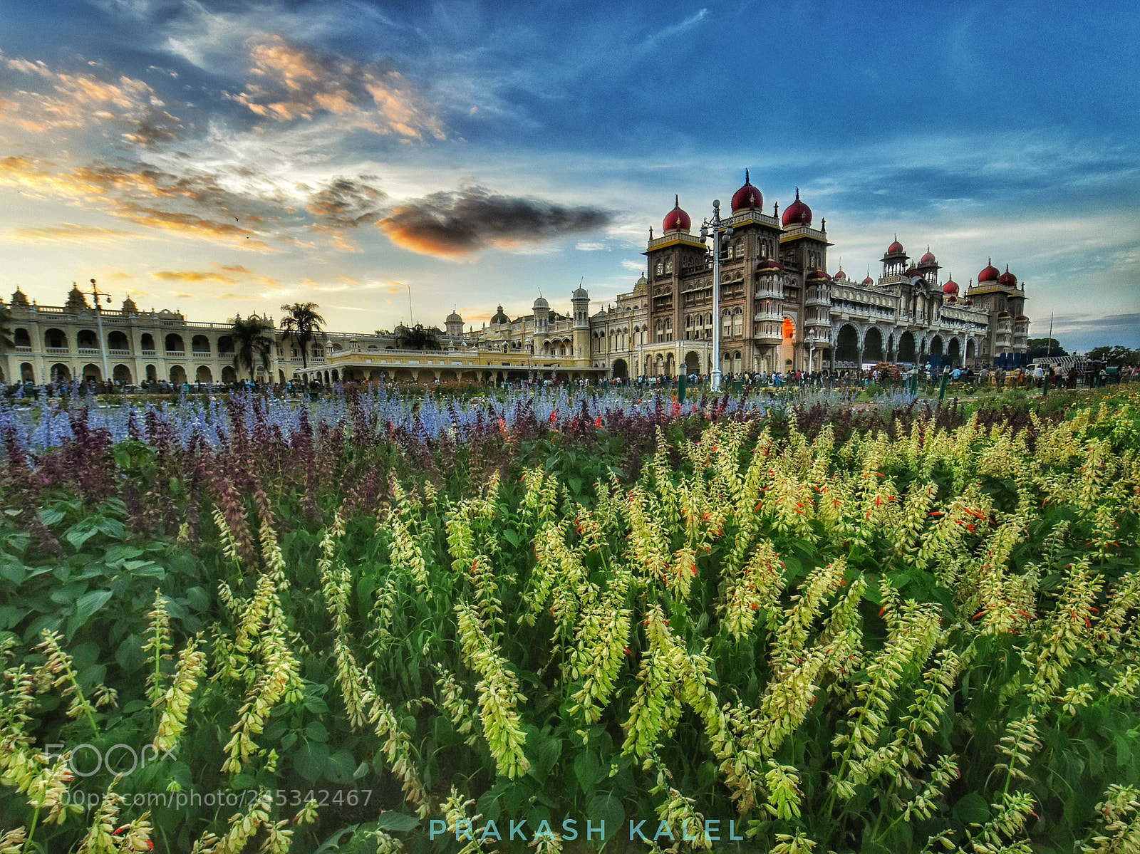 Nikon D5500 sample photo. Mysore palace photography