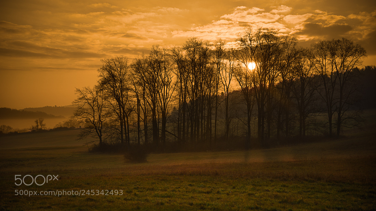 Nikon D810 sample photo. December sunrise photography