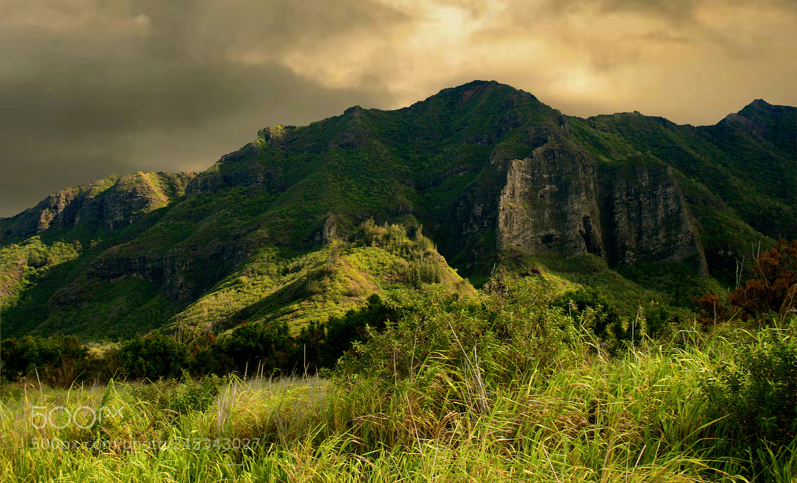 Canon EOS 400D (EOS Digital Rebel XTi / EOS Kiss Digital X) sample photo. Hills of kauai photography