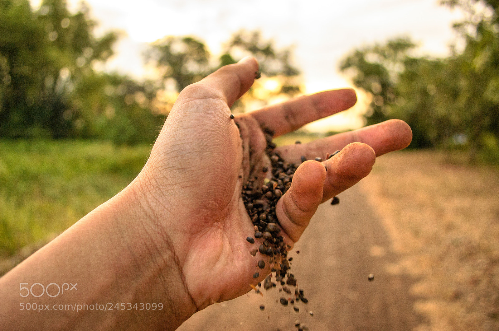 Nikon D70 sample photo. Sand from hand photography