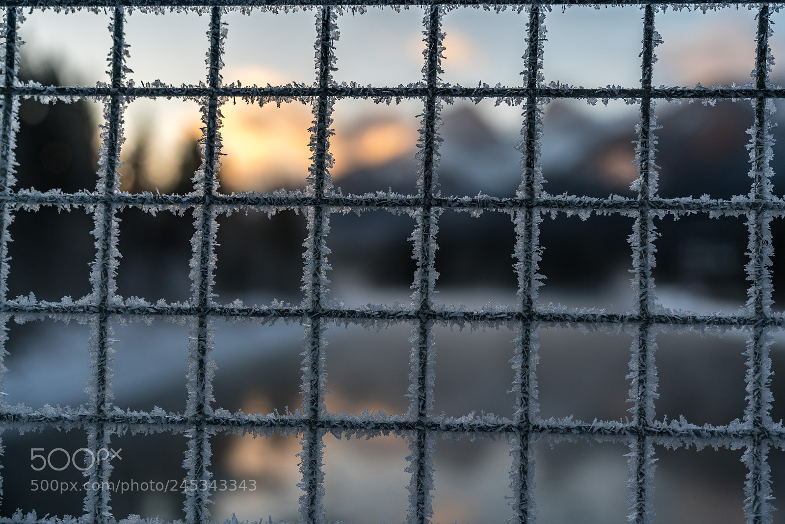 Sony a7R II sample photo. Frosted railing photography