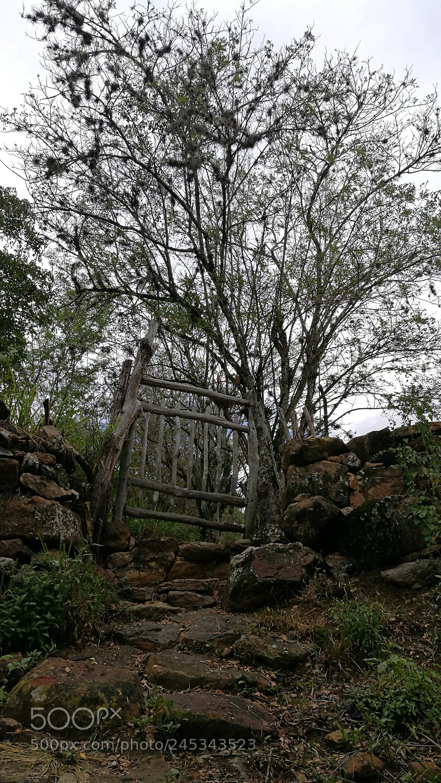 HUAWEI P9 sample photo. Un atajo a photography