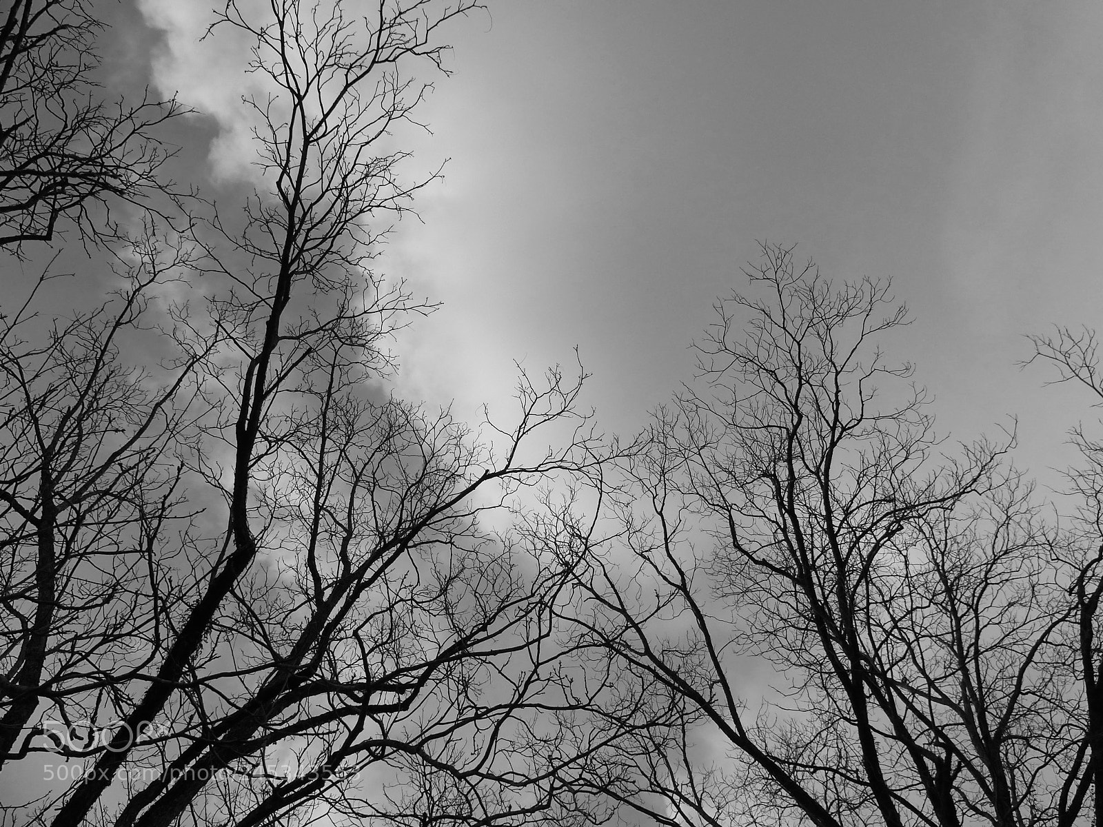 Panasonic Lumix DMC-FZ200 sample photo. Hidden promise... photography