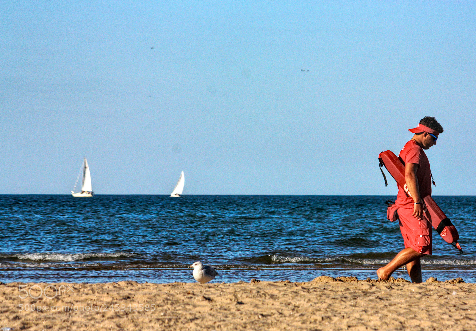 Canon EOS 450D (EOS Rebel XSi / EOS Kiss X2) sample photo. The lifeguard's companion photography
