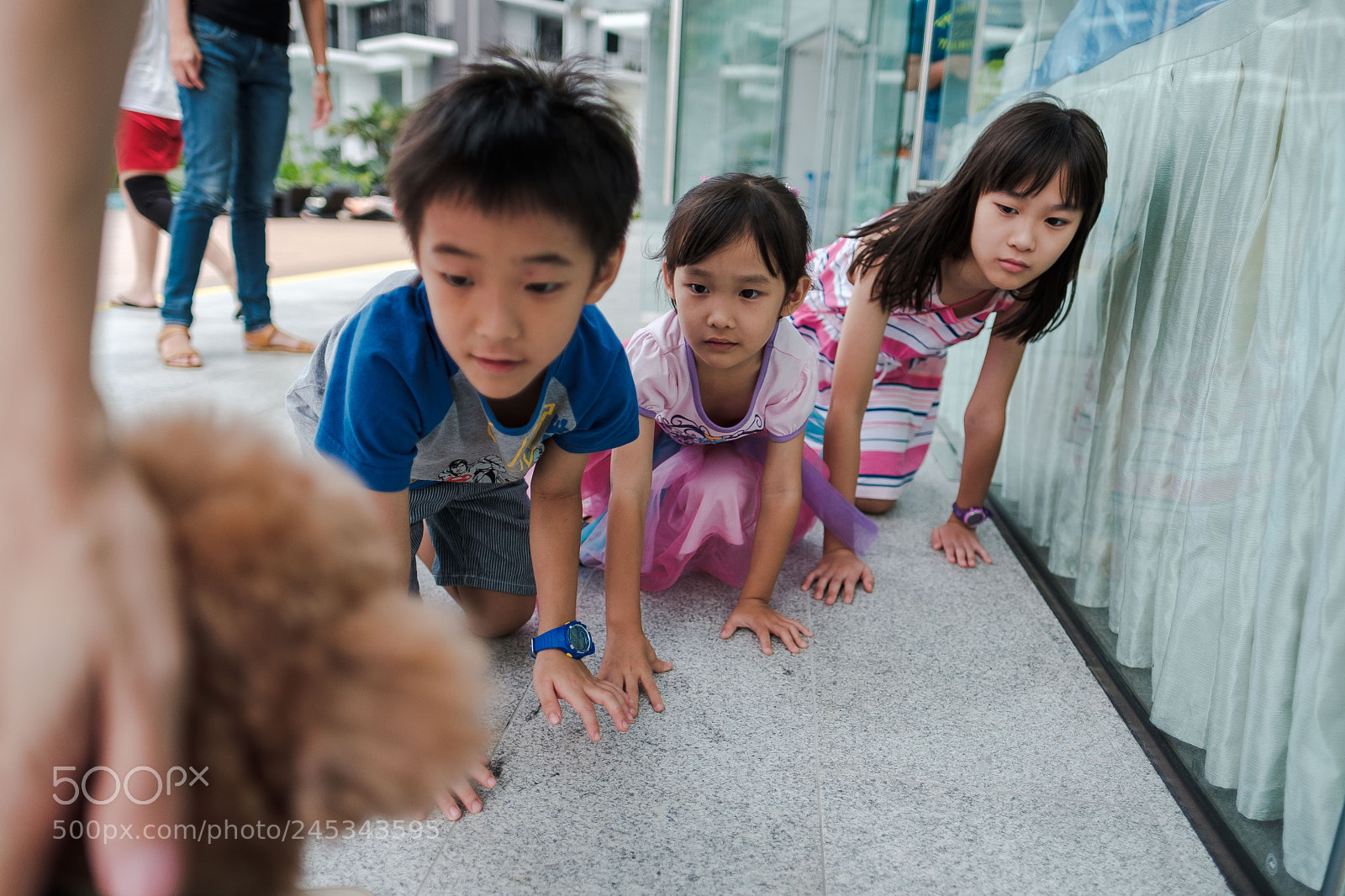Fujifilm X-Pro2 sample photo. Curious kids photography