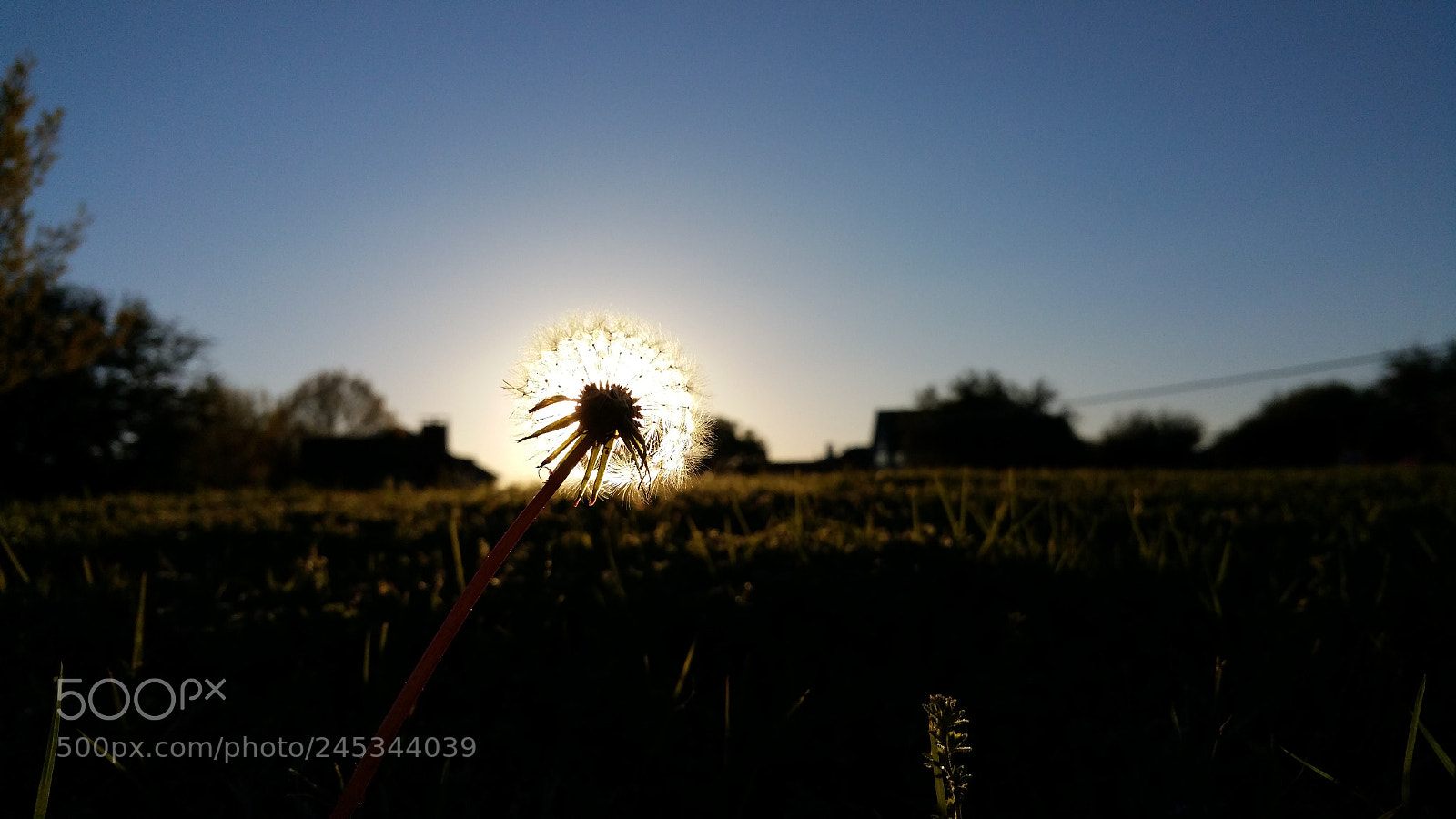 Samsung Galaxy Note4 sample photo. 20150326_190930.jpg photography