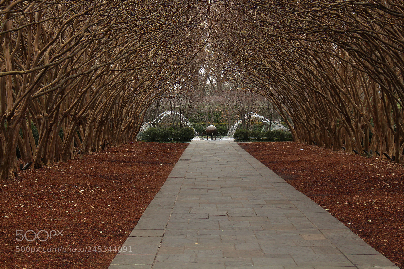 Canon EOS 700D (EOS Rebel T5i / EOS Kiss X7i) sample photo. Img photography