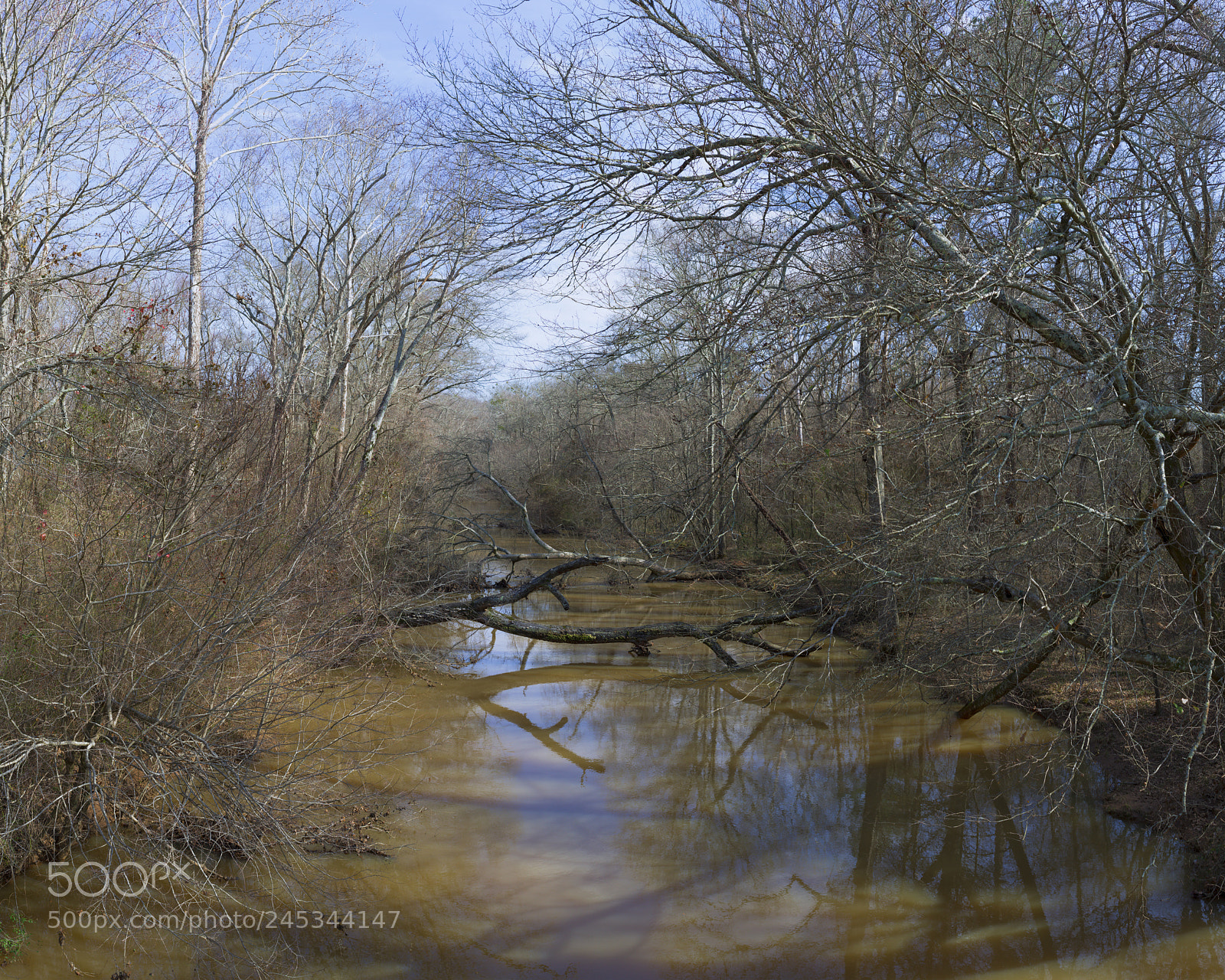 Pentax K-5 sample photo. Apalachee reflections photography