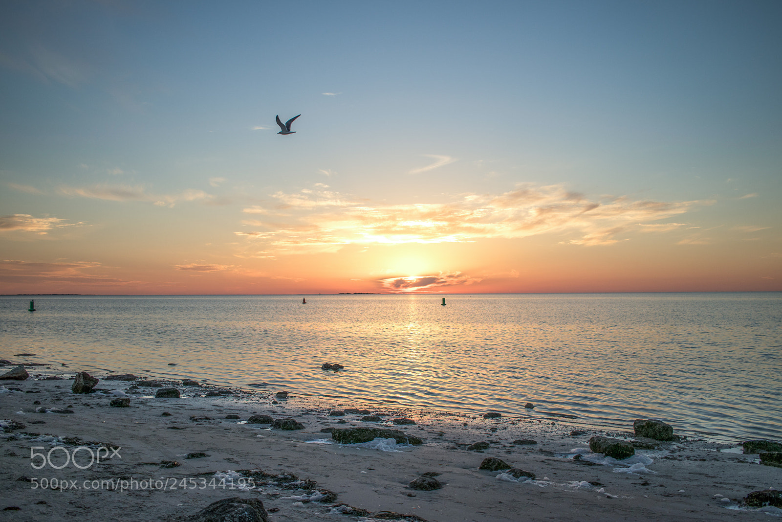 Canon EOS 800D (EOS Rebel T7i / EOS Kiss X9i) sample photo. Florida beach sunset photography