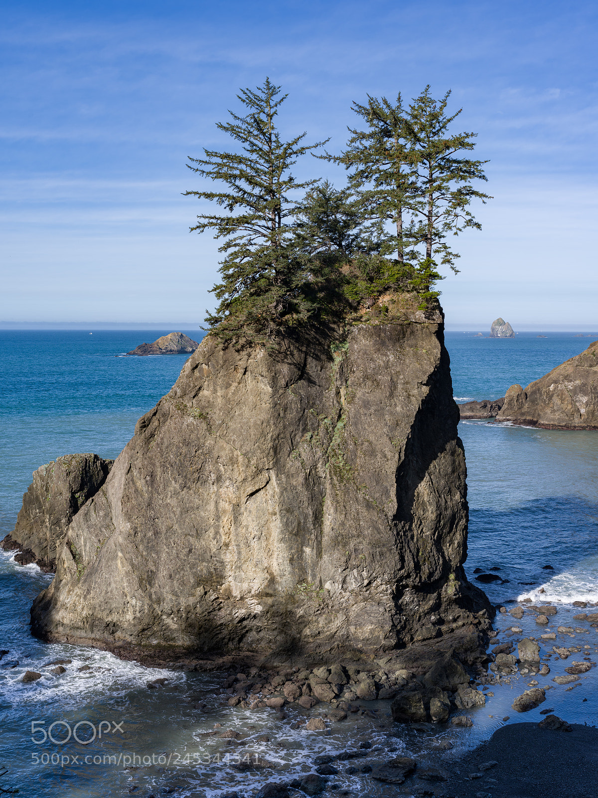 Pentax 645Z sample photo. Oregon coast photography