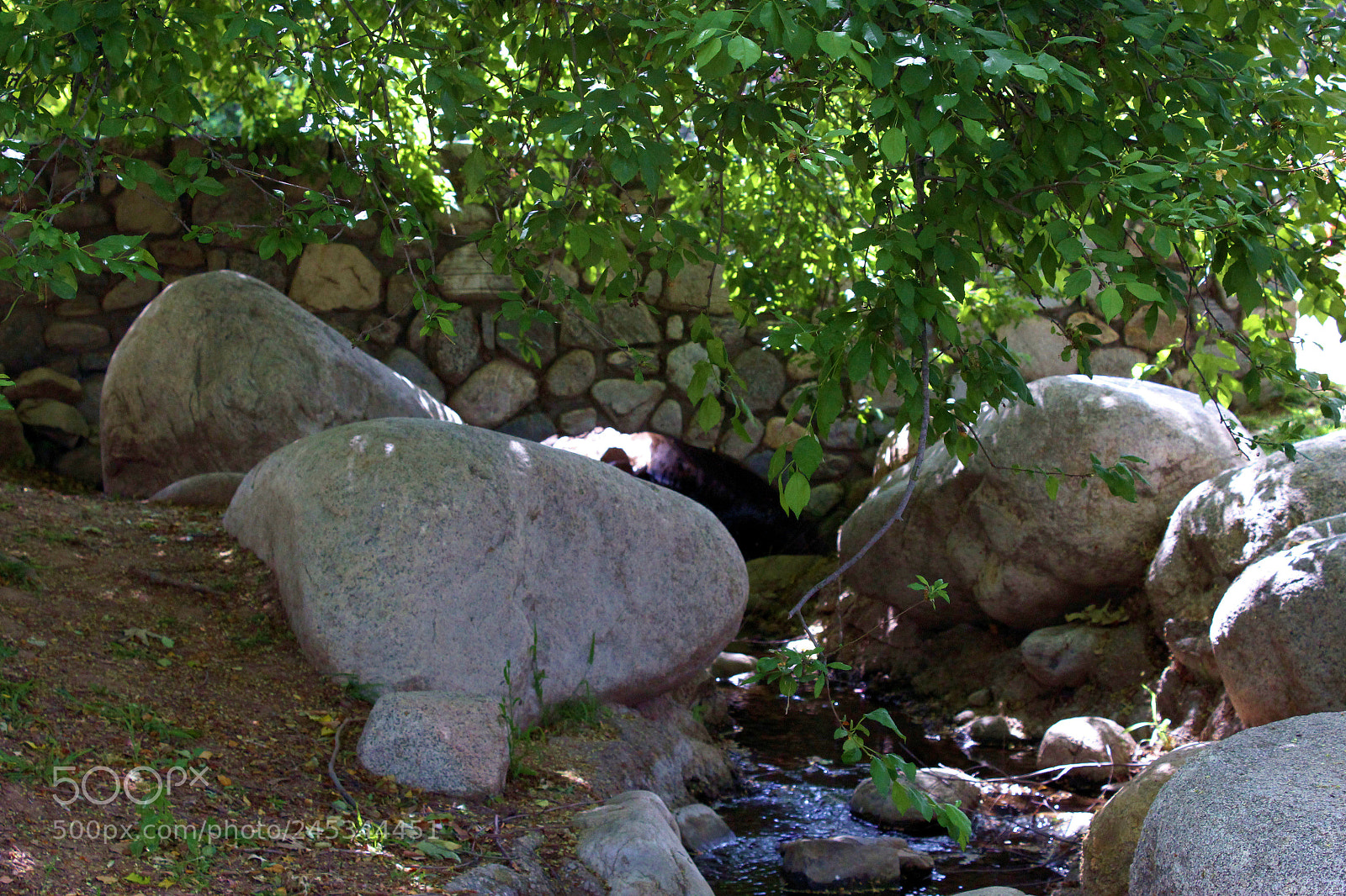 Canon EOS 1200D (EOS Rebel T5 / EOS Kiss X70 / EOS Hi) sample photo. Stone bridge photography