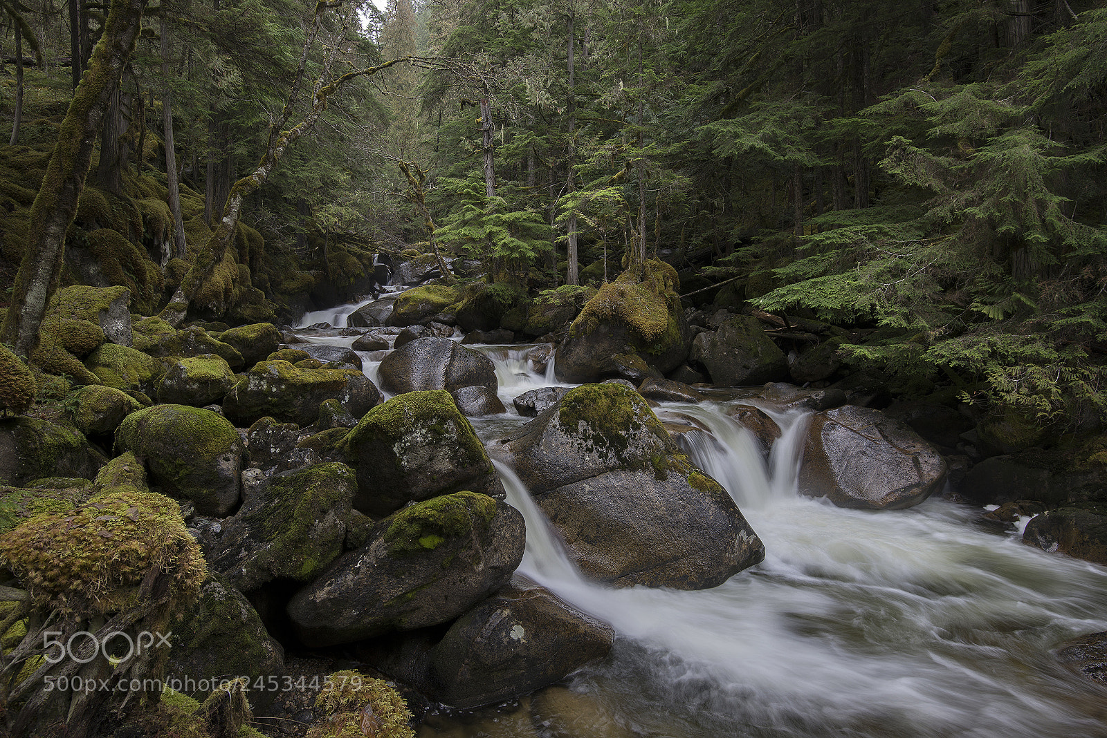Nikon D610 sample photo. Joffre creek photography