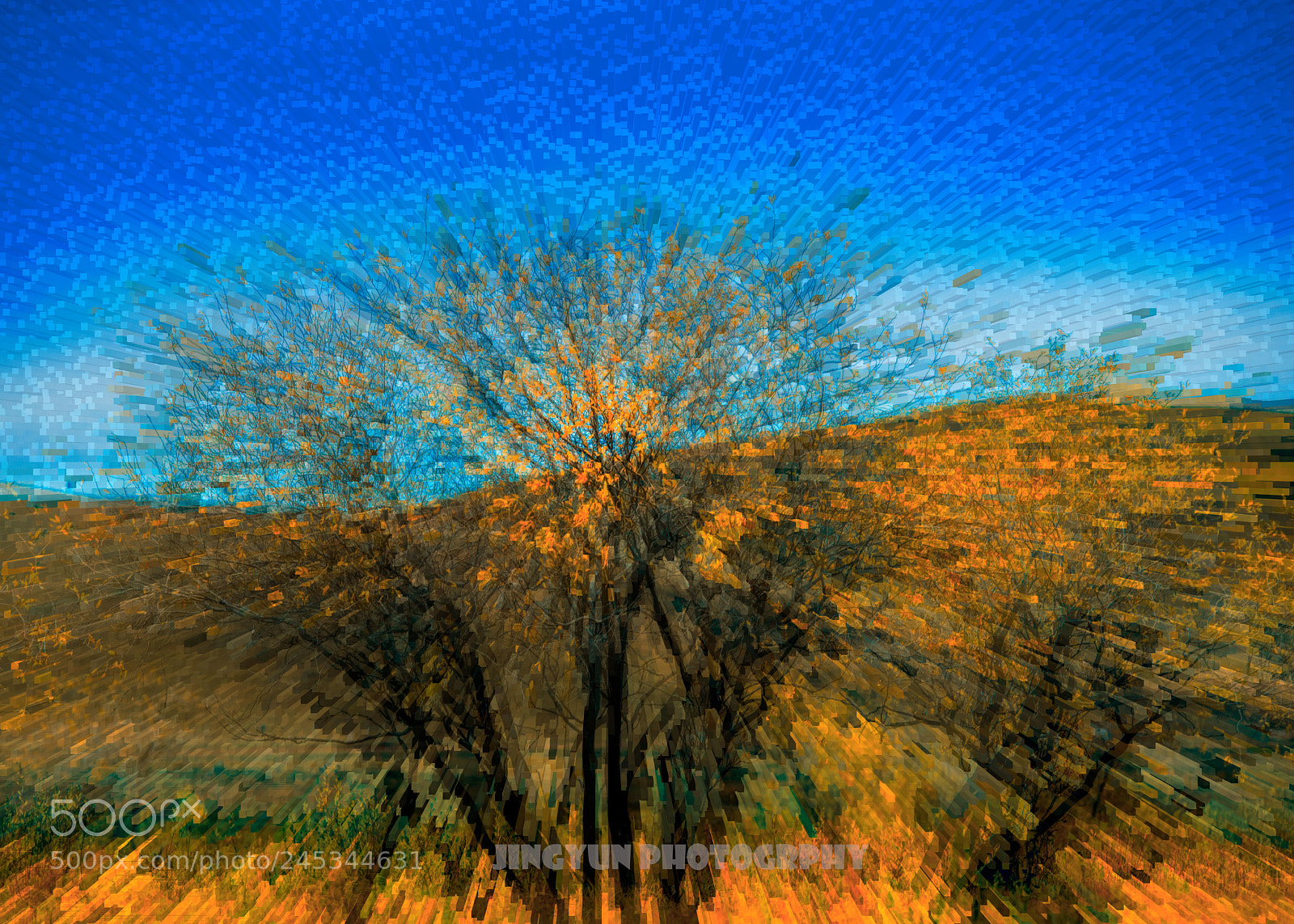 Nikon D810 sample photo. Untitled photography