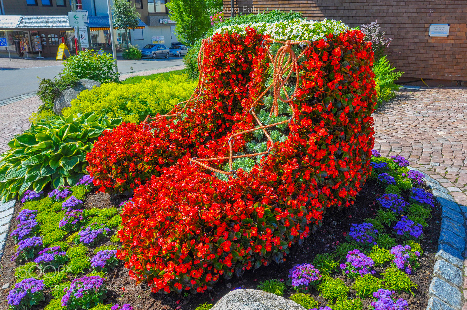 Nikon D90 sample photo. Blumenschuhe photography
