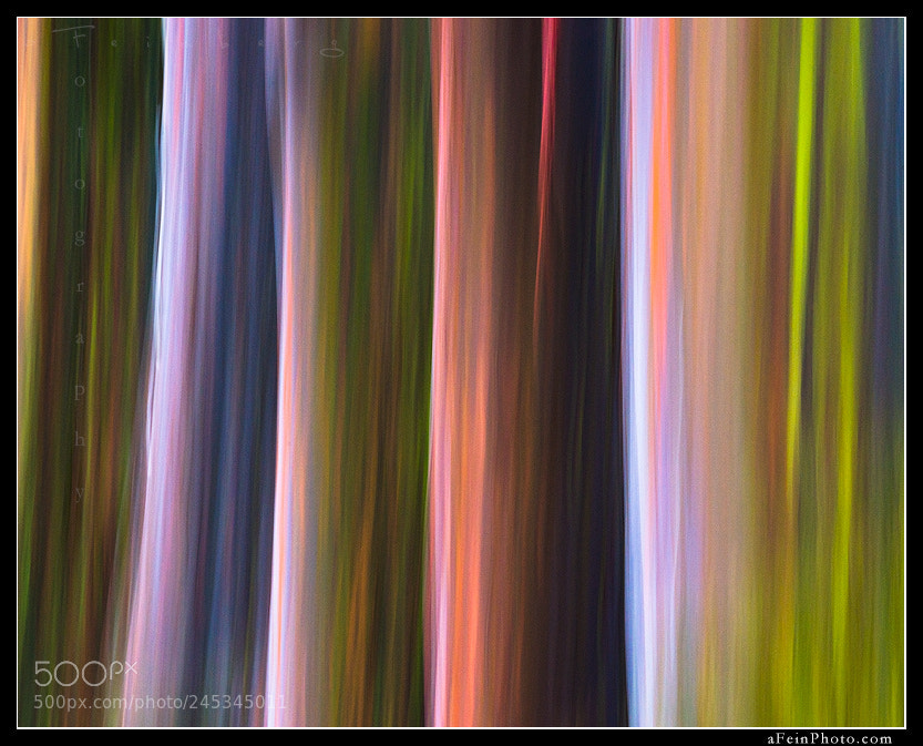 Nikon D800 sample photo. Rainbow smear 577 photography