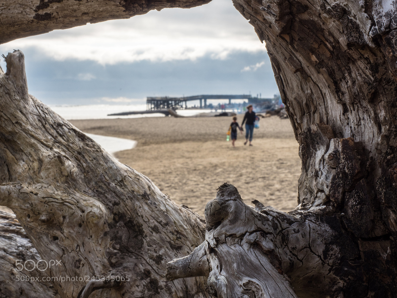 Olympus OM-D E-M5 II sample photo. Special moment with mother photography