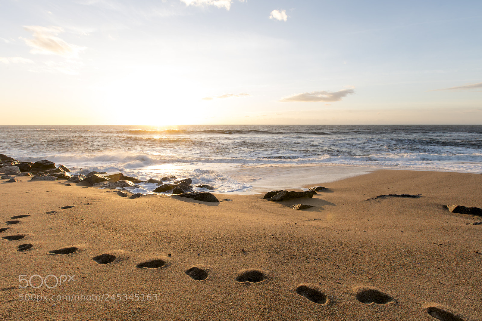Sony a7R II sample photo. Untitled photography