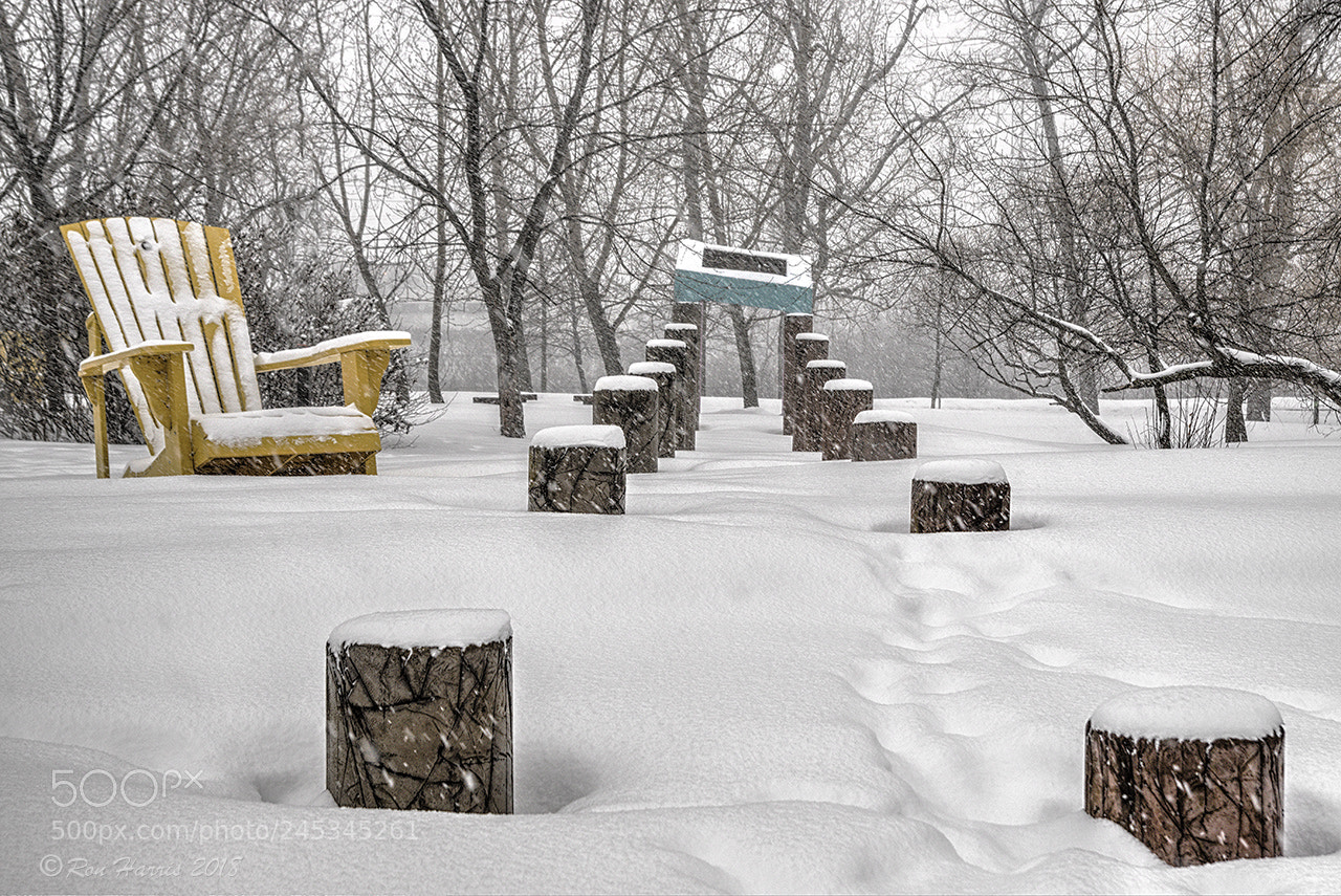 Sony ILCA-77M2 sample photo. Winter art photography
